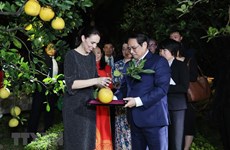 Le Vietnam exportera le citron vert et le pamplemousse en Nouvelle-Zélande