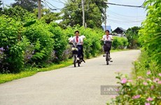 Le village intelligent, modèle en devenir à Binh Duong
