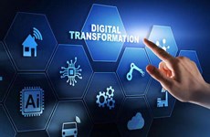 La transformation numérique s’impose comme un besoin urgent pour les PME