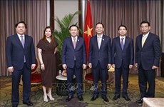 Le président de l’AN rencontre des dirigeants de grandes entreprises philippines