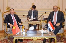Le vice-président de l’Assemblée nationale Nguyên Duc Hai se rend en Égypte