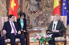 Le PM Pham Minh Chinh rencontre la présidente de la Chambre des représentants de Belgique