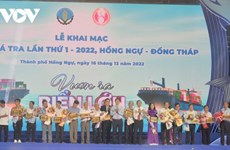 Dông Thap organise sa première fête du panga