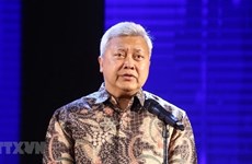 La visite présidentielle "ne fera que renforcer" les liens Vietnam-Indonésie