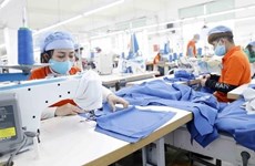 Le CPTPP recèle encore un potentiel inexploité pour les entreprises vietnamiennes