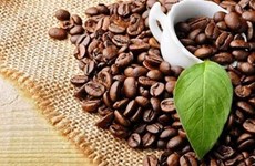 Le Vietnam établit un nouveau record d’exportations de café