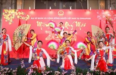 Des Vietnamiens à Singapour fêtent le Nouvel An lunaire du Chat 2023