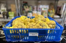 De plus en plus de fruits vietnamiens accèdent au marché japonais