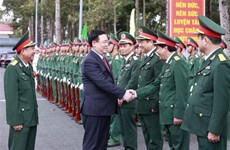 Le président de l'AN présente des vœux du Têt aux forces armées de la province d'An Giang