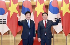 Entretien entre le président de l'AN vietnamien et son homologue sud-coréen