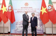 Entretien entre le ministre vietnamien des AE Bui Thanh Son et son homologue portugais