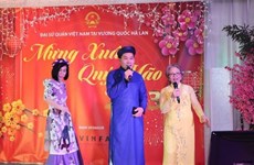 Les Vietnamiens aux Pays-Bas célèbrent la fête du Têt