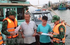 Kien Giang mène une campagne de 180 jours contre la pêche INN