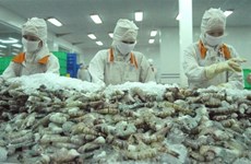 Bac Lieu vise un milliard de dollars d'exportations de crevettes