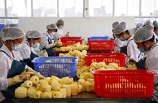 La Chine délivre 435 codes pour des entreprises d'exportation du Vietnam  