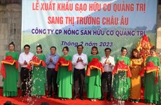 Quang Tri exporte le premier lot de riz bio vers l’Europe