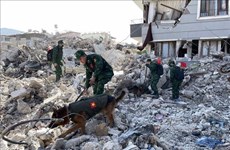 Le Vietnam accorde une aide de 200.000 USD à la Turquie et à la Syrie après le tremblement de terre