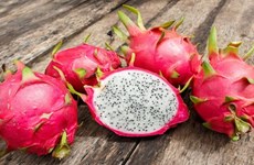 Un programme vietnamo-néo-zélandais créé de nouvelles variétés de pitaya 
