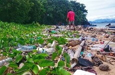 L’Indonésie et l’Allemagne lancent un projet pilote pour lutter contre les déchets marins
