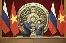 Renforcement de la coopération substantielle et efficace entre les députés Vietnam-Russie