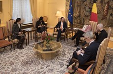 Approfondissement de la coopération entre la Belgique et le Vietnam