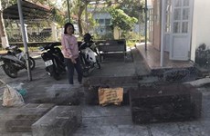 Lam Dong : une femme arrêtée pour commerce illégal d’animaux sauvages