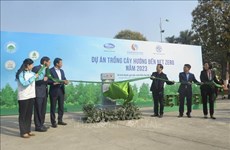 Le vice-PM Trân Hông Hà lance la plantation d’arbres vers le net zéro