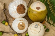 Les exportations de produits à base de noix de coco rapportent gros