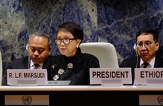 L'Indonésie propose des axes de coopération pour les droits de l'homme