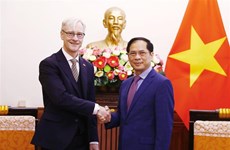 Le ministre des AE Bui Thanh Son reçoit le secrétaire d'État norvégien aux Affaires étrangères