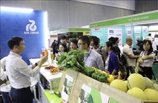 Fruits et légumes : ouverture de l’exposition internationale HortEx Vietnam 2023
