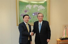 Vietnam et Japon promeuvent la coopération dans l'énergie et la réduction des émissions de gaz
