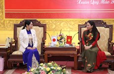 Ninh Binh souhaite renforcer la coopération avec de nombreuses localités du Japon