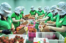 Le Vietnam et la Chine promeuvent les échanges agricoles et aquacoles