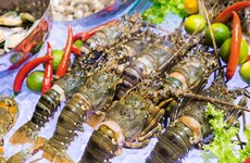 Les exportations nationales de homards vers la Chine ont retrouvé des couleurs