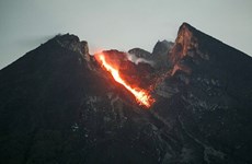 Le volcan indonésien Merapi entre en éruption
