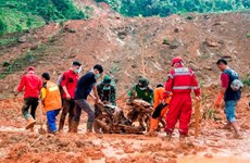 Indonésie : le bilan des glissements de terrain s'élève à 44 morts