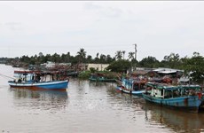 La province de Cà Mau combat résolument la pêche INN