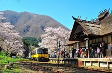 Le Japon enregistre un afflux record de touristes vietnamiens en février