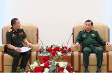 Défense: Promotion de la coopération entre le Vietnam et le Laos, le Cambodge