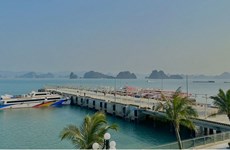 Quang Ninh lancera deux circuits touristiques sur la baie de Bai Tu Long 