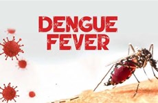Le Laos renforce la prévention et la lutte contre la dengue