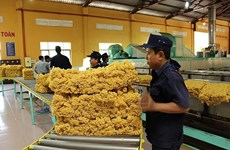 Le Vietnam, 4e exportateur de caoutchouc en République de Corée