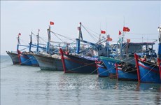 Bac Lieu lutte énergiquement contre la pêche INN