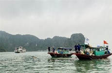 Collecte de bouées flottantes en polystyrène en baie d’Ha Long