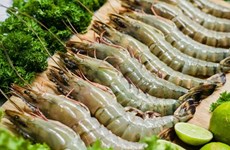 Le Vietnam, premier fournisseur de crevettes en R. de Corée 