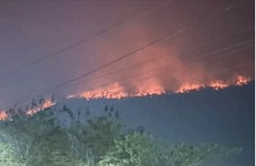 Les incendies de forêt et la pollution de l'air atteignent un niveau de danger au Laos