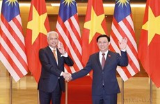 Développement des relations Vietnam-Malaisie dans divers domaines