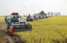 Séminaire sur l'agriculture adaptative au changement climatique dans les deltas asiatiques