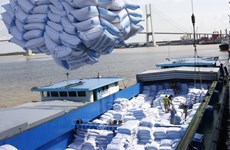 Les exportations du riz du Vietnam connaissent des conditions favorables